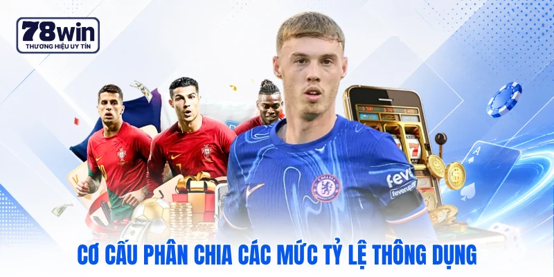 Cơ cấu phân chia các mức tỷ lệ thông dụng Cơ cấu phân chia các mức tỷ lệ thông dụng