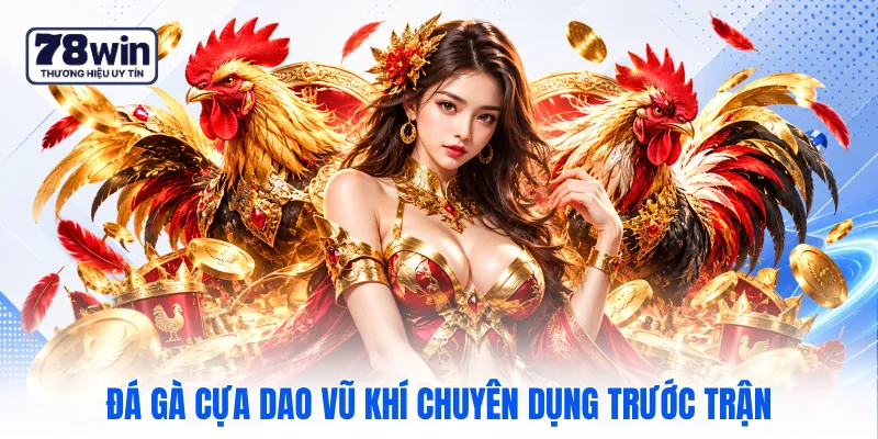 Đá gà cựa dao vũ khí chuyên dụng trước trận Đá gà cựa dao vũ khí chuyên dụng trước trận