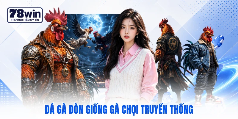 Đá gà đòn giống gà chọi truyền thống Đá gà đòn giống gà chọi truyền thống