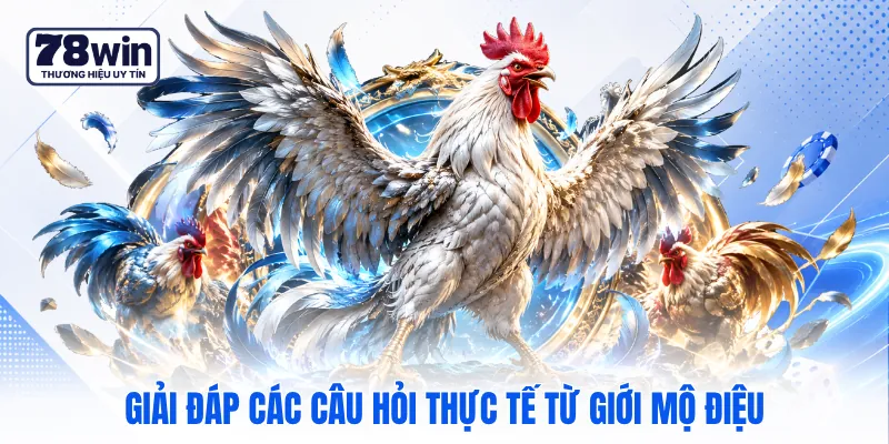 Giải đáp các câu hỏi thực tế từ giới mộ điệu Giải đáp các câu hỏi thực tế từ giới mộ điệu