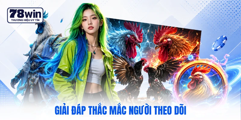 Giải đáp thắc mắc người theo dõi Giải đáp thắc mắc người theo dõi