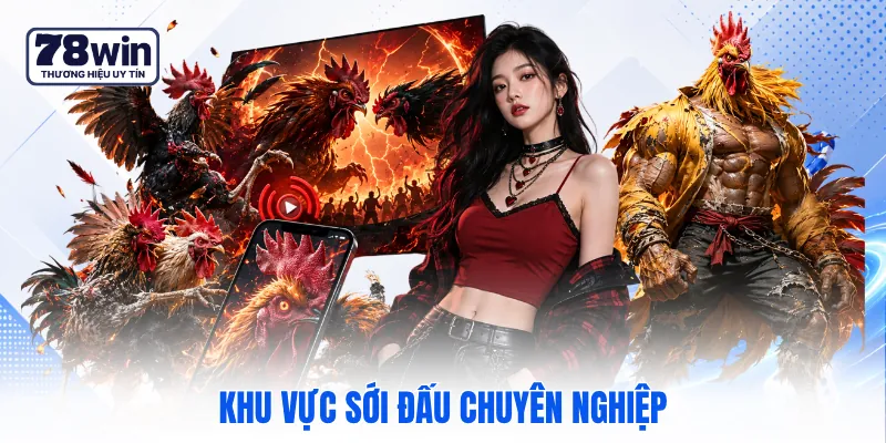 Khu vực sới đấu chuyên nghiệp Khu vực sới đấu chuyên nghiệp