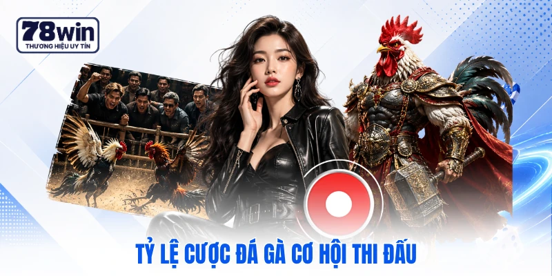 Tỷ lệ cược đá gà cơ hội thi đấu Tỷ lệ cược đá gà cơ hội thi đấu